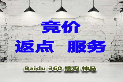 竞价推广公司案例揭秘：如何利用数据分析提升广告效果